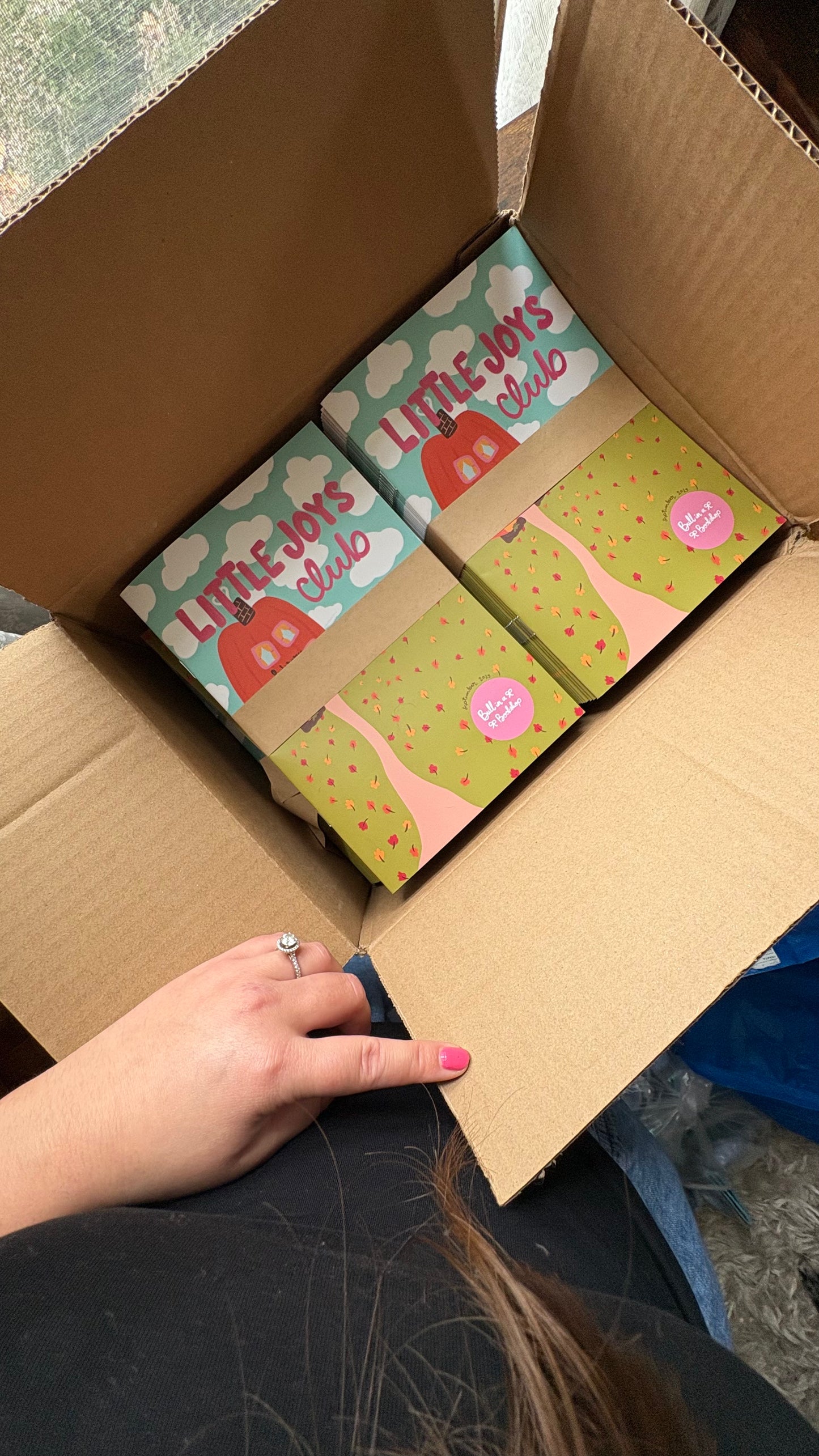 THE LITTLE JOYS ZINE CLUB